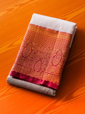 Silver Grey Tissue Brocade Saree